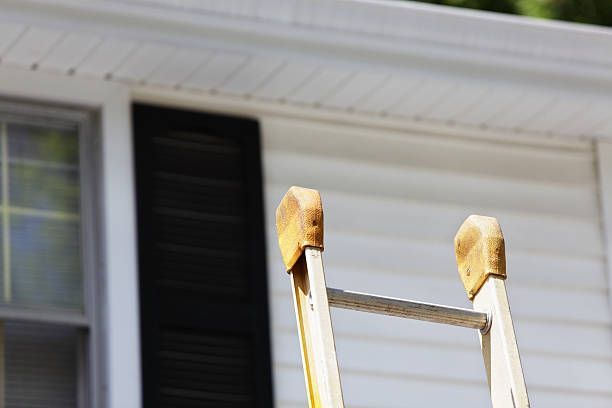 Best Insulated Siding Installation  in Vincent, CA